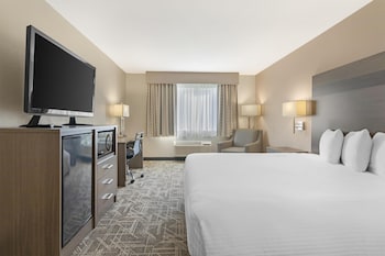 Standard Room, 1 King Bed, Non Smoking, Refrigerator & Microwave (Pet Friendly)