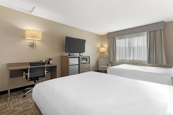 Standard Room, 2 Queen Beds, Non Smoking, Refrigerator & Microwave (Pet Friendly)