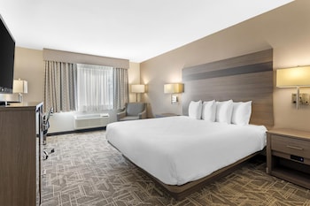 Standard Room, 1 King Bed, Non Smoking, Refrigerator & Microwave (Pet Friendly)