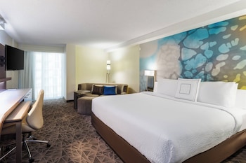Room, 1 King Bed with Sofa bed, Hearing Accessible (Accessible Bathtub)