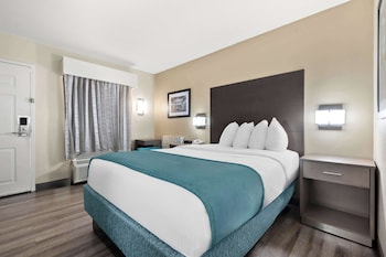 Standard Room, 1 Queen Bed, Non Smoking, Microwave