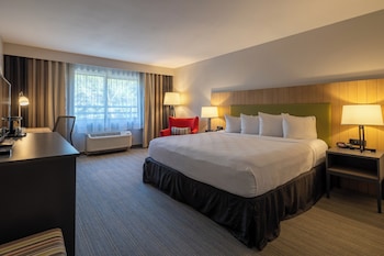 Room, 1 King Bed, Non Smoking