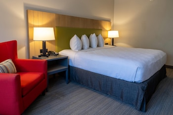 Room, 1 King Bed, Non Smoking