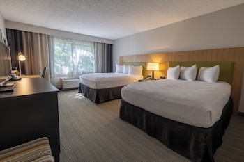 Room, 2 Queen Beds, Non Smoking (Pet Friendly)