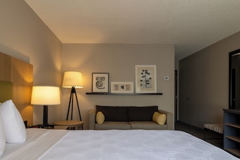 Studio, 1 King Bed, Non Smoking