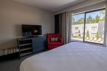 Suite, 1 Bedroom, Non Smoking
