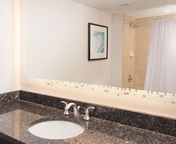 Suite, Accessible (Mobility & Hearing, Roll-in Shower)