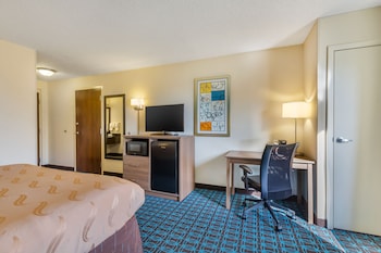 Standard Room, 1 King Bed with Sofa bed, Non Smoking