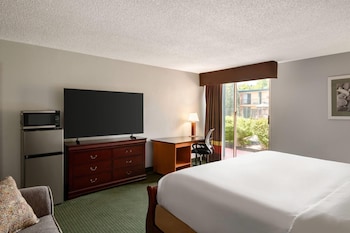 Suite, 1 King Bed, Non Smoking (One-Bedroom)