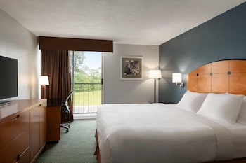 Standard Room, 1 King Bed, Non Smoking