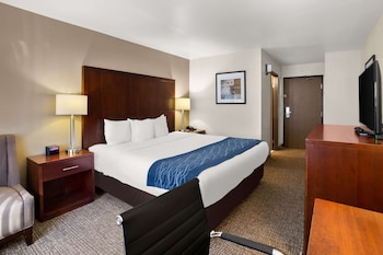 Standard Room, 1 King Bed, Non Smoking
