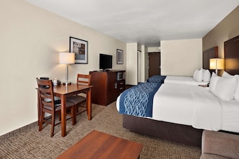 Suite, Multiple Beds