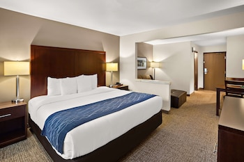 Suite, 1 King Bed with Sofa bed