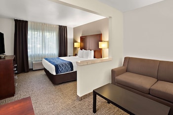 Suite, 1 Queen Bed with Sofa bed, Accessible, Non Smoking