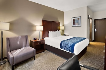 Standard Room, 1 Queen Bed, Non Smoking