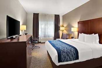 Standard Room, 1 King Bed, Non Smoking