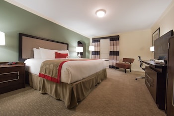 Room, 1 King Bed, Pool View