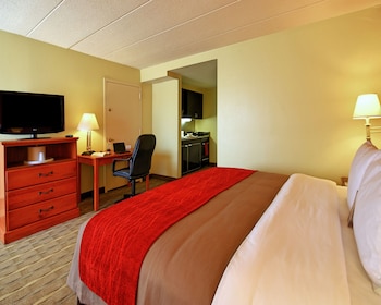 Room, 1 King Bed, Accessible, Non Smoking (Efficiency)