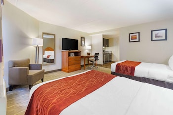 Efficiency Room with 2 Double Beds - Non-Smoking