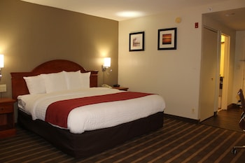 Efficiency Room with 1 King Bed - Non-Smoking