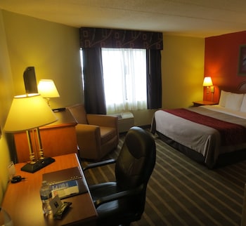 Room, 1 King Bed, Accessible, Non Smoking (Efficiency)