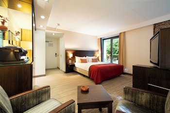 Executive Room, 1 King Bed