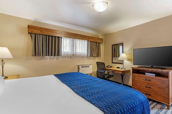 Suite, 1 King Bed, Non Smoking, Microwave (with Sofabed)