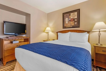 Standard Room, 1 Queen Bed, Non Smoking, Refrigerator & Microwave (Small Room)