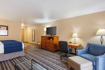 Standard Room, 1 King Bed, Non Smoking, Patio (Oversized Room)