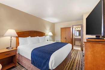 Standard Room, 1 King Bed, Non Smoking, Refrigerator & Microwave (Small Room)