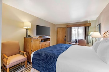 Standard Room, 1 King Bed, Non Smoking, Refrigerator & Microwave (Small Room)