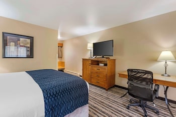 Standard Room, 1 King Bed, Non Smoking, Refrigerator & Microwave