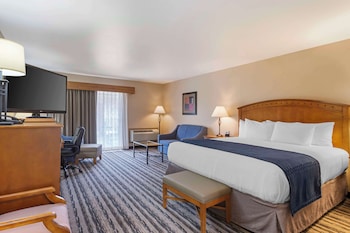 Standard Room, 1 King Bed, Non Smoking, Patio (Oversized Room)