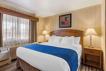 Standard Room, Multiple Beds, Non Smoking, Refrigerator & Microwave