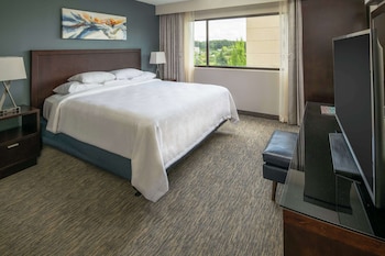 1 King, 1 Bedroom Suite, Mobility Accessible (Bathtub)