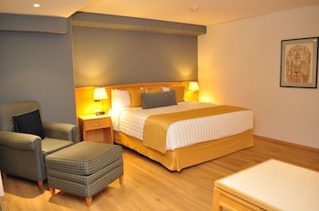 Room, 1 King Bed, Non Smoking