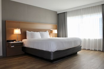 Room, 1 King Bed, Accessible, Non Smoking