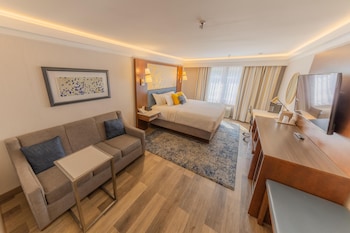 Standard Room, 1 King Bed, Non Smoking, Refrigerator & Microwave (with Sofabed)