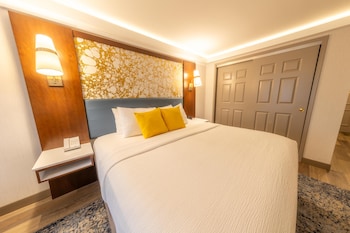 Standard Room, 1 King Bed, Accessible, Refrigerator & Microwave (Walk-in Shower)