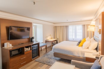 Suite, 1 King Bed, Non Smoking, Kitchenette (with Sofabed)