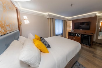 Standard Room, 1 Queen Bed, Non Smoking, Refrigerator & Microwave