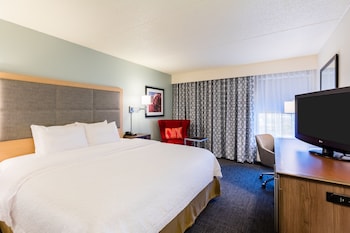 Room, 1 King Bed, Accessible