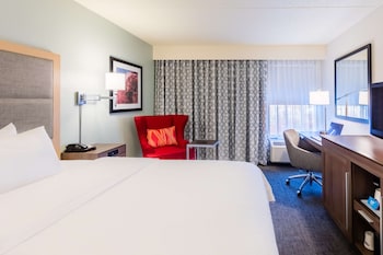 Room, 1 King Bed, Accessible