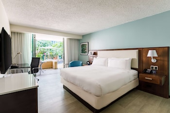Deluxe 1 King Bed Balcony