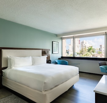 Deluxe 1 King Garden View