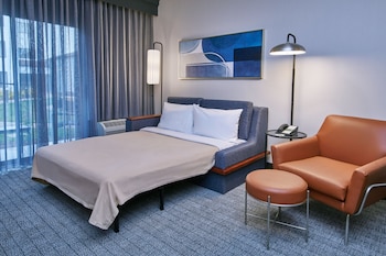 Room, 1 King Bed with Sofa bed