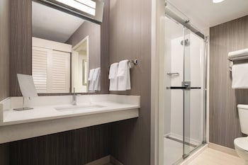 Suite, 1 King Bed with Sofa bed