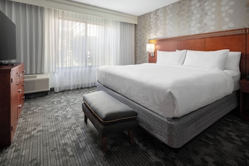 Suite, 1 King Bed with Sofa bed
