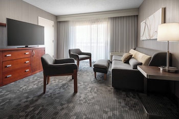 Suite, 1 King Bed with Sofa bed