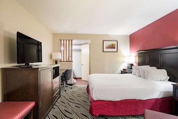 Standard Room, 1 Queen Bed, Non Smoking, Refrigerator & Microwave (Pet Friendly)
